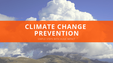 Climate Change Prevention